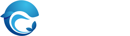 辰帆国际 CF International